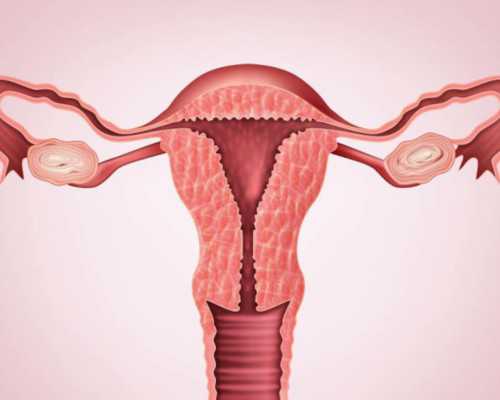 古玩鉴定小说_苦瓜炒咸蛋，夏日简单清爽易上手的小菜