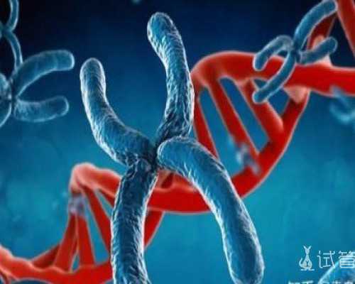 吃黄体酮会影响香港验血结果吗_香港验血测胎儿性别报告怎么看_流程手续如何