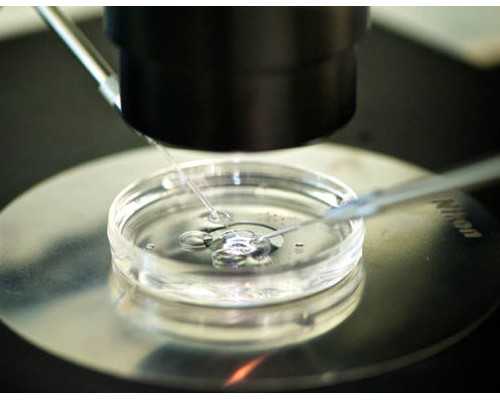 香港验血没测出结果_香港在哪里验血_鉴定性别是骗局吗!