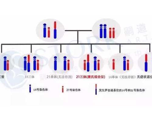 成都送仙桥古玩市场最近的地铁站_21天减肥法有效瘦16斤