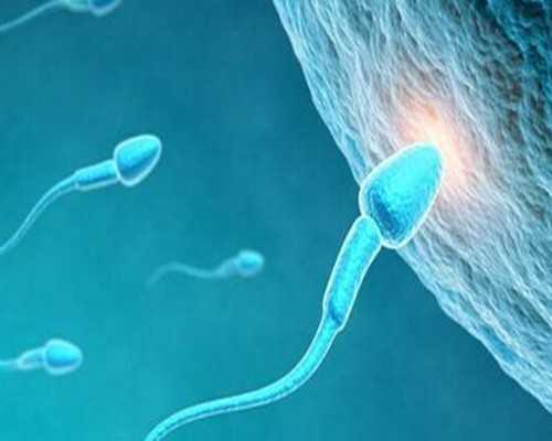 香港验血7周和8周_香港验血DNA鉴定如何选择靠谱的中介