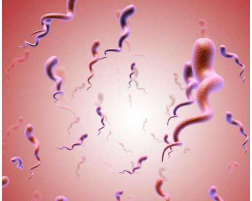 怀孕了香港几天能验血流程_孕妇去香港验血可以确定男女吗_性别鉴定费用是多