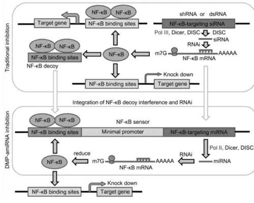 孕9 2香港验血,助孕温度计  可准确测出排卵期