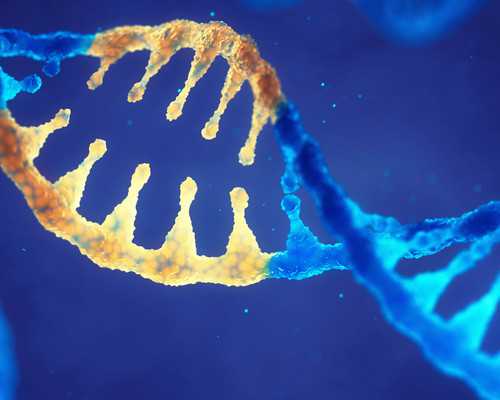 香港验血寄过去几天出结果_香港时代化验所报告单查询,验血查男女有科学依据