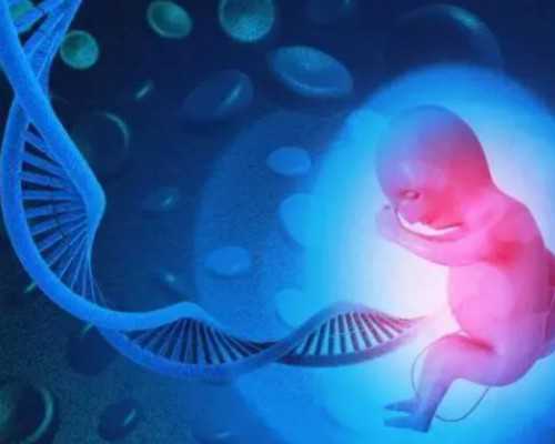 梦见玉器古玩,测八字命格软件有什么讲究