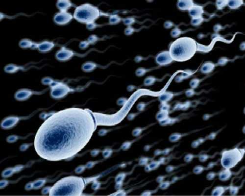 香港验血周日可以查吗_香港时代医疗集团验血中介_验血查男女真的很准吗!