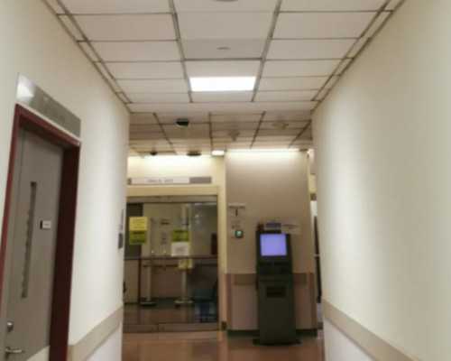 香港验血多少天验_香港验男女中介准吗_验血查男女应该注意什么!