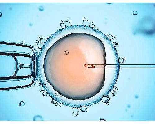 香港验血寄什么快递_香港抽血鉴别男女的准确吗?自己的亲身经历分享给大家