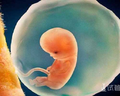 香港三家验血结果都是女孩_香港几个月能验出男女_怎么个流程费用多少