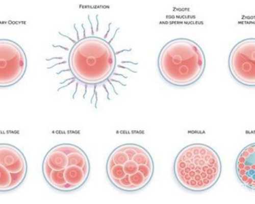 香港验血结果论y的存在_中介香港验血翻盘到底,结果真的哪么准吗