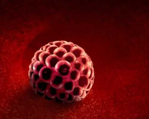 香港验血怎么算时间_香港验血d多代表什么意思_真的有那么高准确率吗!