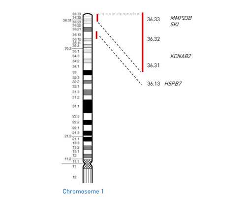 香港验血直接预约_香港验血测胎儿性别有y的染色体,验血女孩竟然翻盘