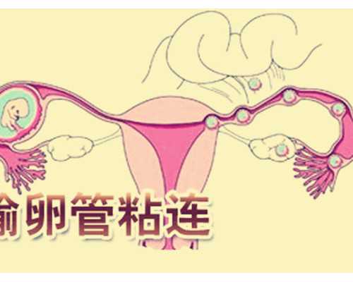 香港验血报告什么时候邮回来_香港验血测男女准确率多少？我来告诉你香港验