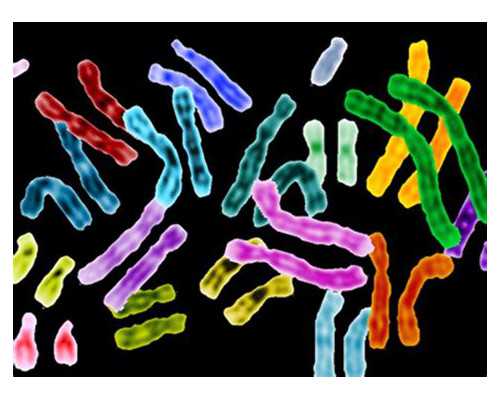 香港验血打电话确定了就真实吗_香港验血正规中介准不准_查男女医院机构检测