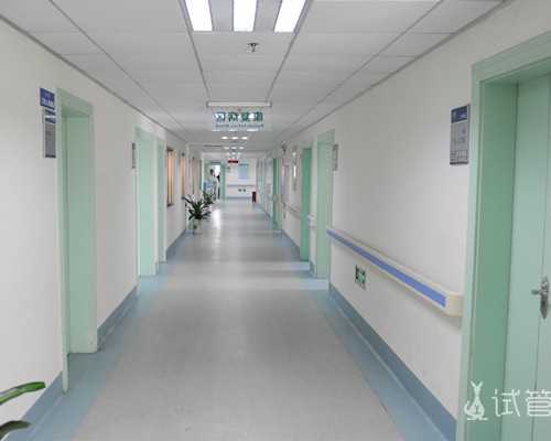 中华古玩收藏网店流量高吗_2023年水瓶女正缘是谁擦亮眼睛找对象