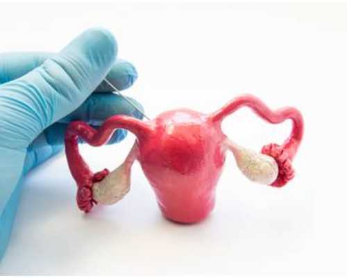 香港验血两年前生过儿子_央视香港验血dna骗局_验男女是真是假到底多少钱!