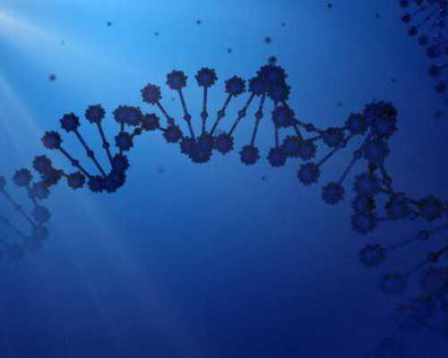 香港验血邮寄什么时候抽血最好_去香港验血怎么寄过去_验血查性别需要多少钱