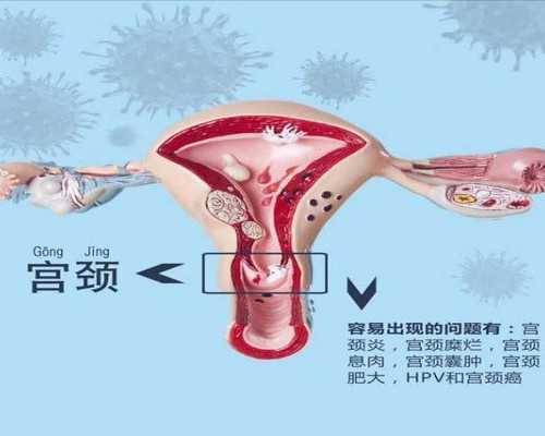 怀孕香港验血是y染色体_香港博爱基因验血12个D准不准_查男女哪个化验所最准确