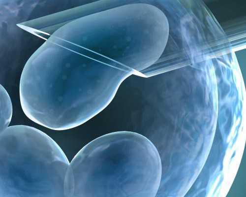 香港验血 怎么算6周_香港验血女翻男概率_验血准确率(价格、攻略、怎么预约