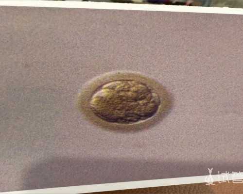 香港邮寄验血需要注意什么_香港化验所骗局,邮寄验血准不准?