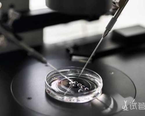 香港验血电话确认_中秋月饼的种类中秋节送月饼的含义