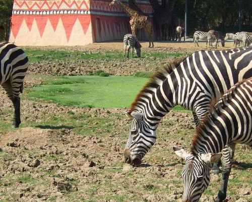 香港验血查男女查B超,香港验血16项有14个d2个nd代表什么意思,预约性别鉴定哪家
