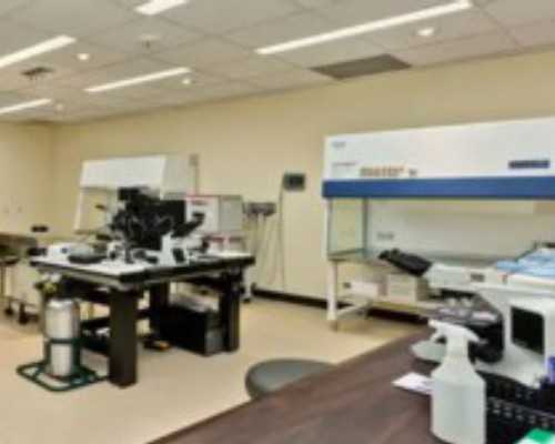 怀孕50天香港验血靠谱吗_精确的性别判定规范专业精准