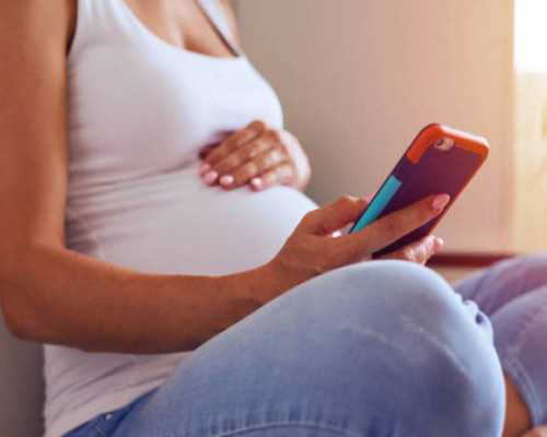 高局长古玩骗局_宝历风物：黑石号沉船出水珍品展在上博展出