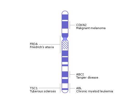 孕12周可以香港验血嘛,香港抽血怎么联系,验血是什么原理原来都是套路？