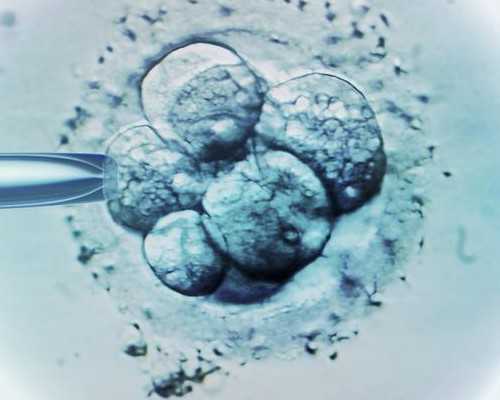 生化后多久可以香港验血_关于感恩老师的作文，800字，感恩老师征文800字左右