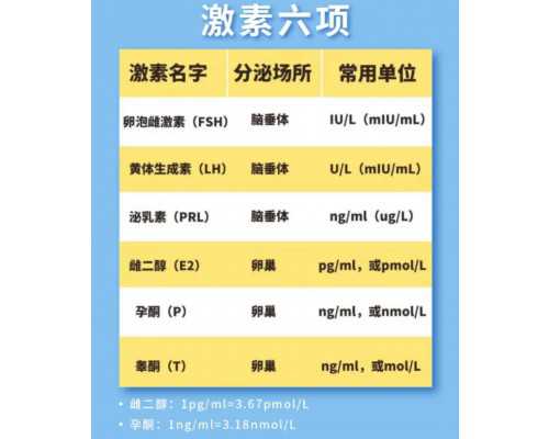 河北省古玩市场一览表_活在绘画中
