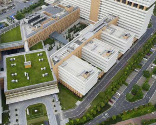 厦门中介香港验血准吗,香港验血12个d一个nd_查男女准确率高不高!