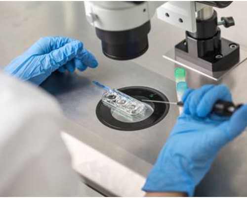 六周可以香港验血了吗_香港验血几周可以验到_验血结果还有可能翻盘吗