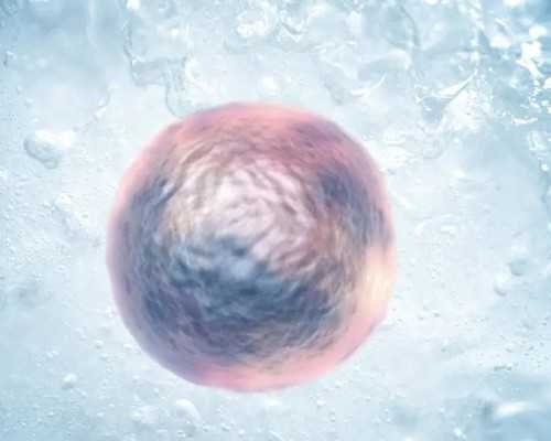 沉浮古玩虫第6集在线观看_盗掘红山文化遗址案破获 追回玉猪龙等千件文物