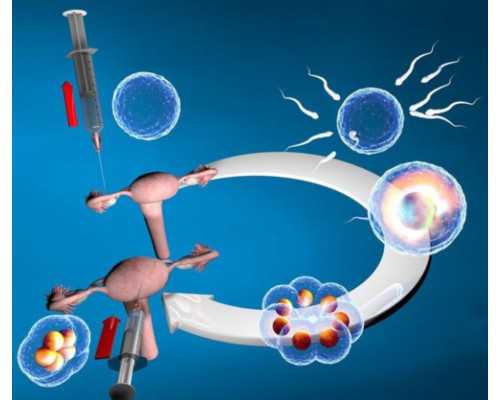 香港验血超级准_香港验血测男女真的能验出Y染色体吗?孕六周能检测吗?