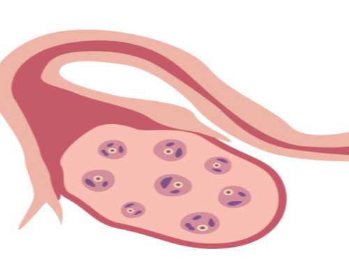 香港医院都可以验血查性别吗_香港验血检测男女需要几个月_最关键的流程都在