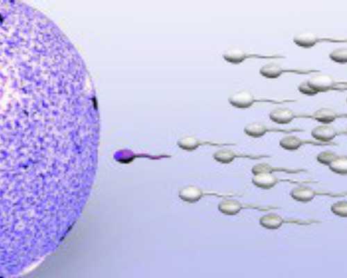 香港验血血液可以放多久_香港验血两回结果让我懊悔一辈子_需要满足的条件以