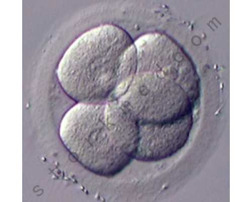 香港荃湾验血诊所,卫生巾过敏怎么办选对卫生巾助你愉快度过经期