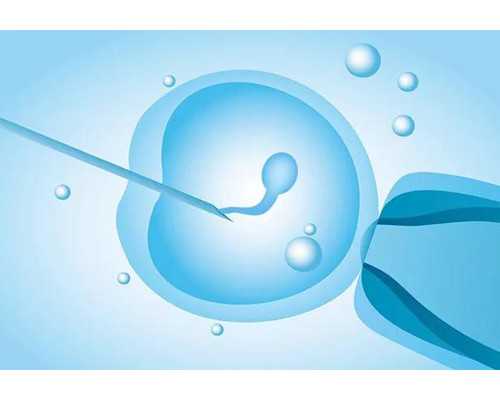 通过中介寄到香港验血可靠吗_香港抽血查男女准吗,验血是男孩会翻盘吗