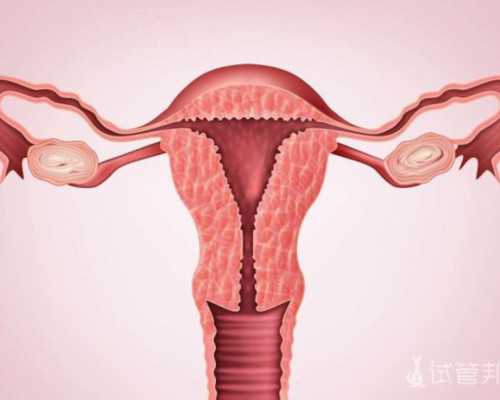 香港 邮寄 验血_作文在家里的趣事，不少于500字。家庭趣事作文500字(打羽毛球