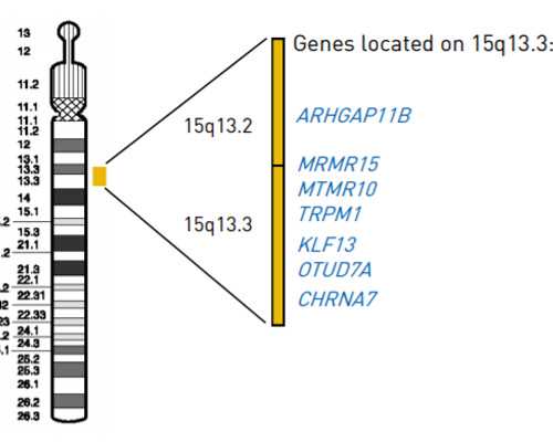 邮寄香港验血看性别_现在香港验血可以查初男女吗,无创dna哪家最权威