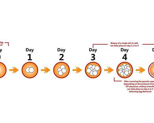 验血查性别只有香港有,做试管前检查需要注意什么？