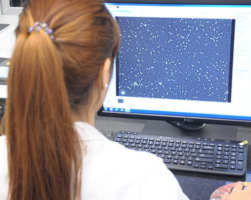 香港验血周六检查 周天出结果嘛_香港验血诊所大全_过程有惊无险!