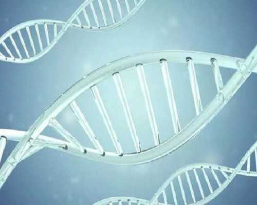 香港验血男和生出和结果一样吗_关于诚信的作文500字五年级作文《诚信让生活