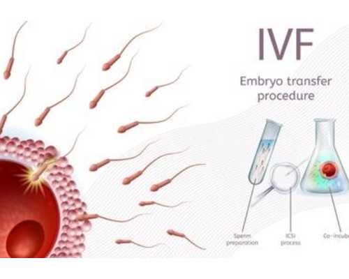 香港验血男女结果图_香港孕妇验血双胞胎_验血查性别需要什么条件!