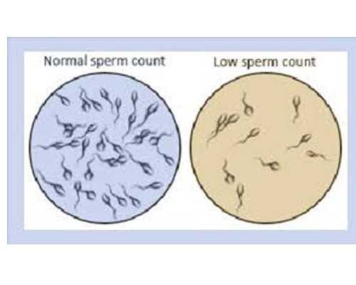 引产完多久怀孕可以香港验血_去香港验血去哪个医院好男孩女孩_验血查男女是