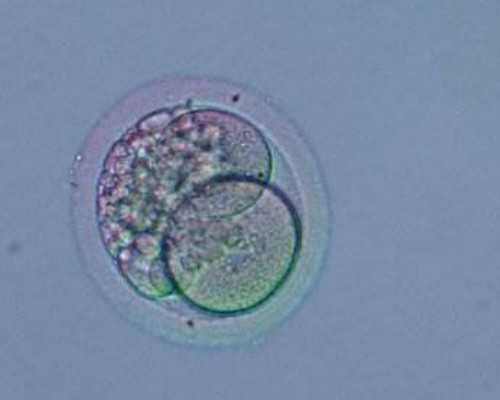 石家庄联盟路古玩市场_迄今最大规模敦煌艺术主题展览亮相北京，千年石窟“