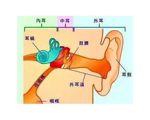 验血寄香港在哪里采血_合肥验血查男女机构_结果真的哪么准吗
