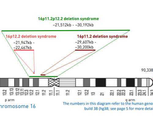 怀孕多久香港能验血_hkdna化验所权威吗,都有哪些需要注意的？