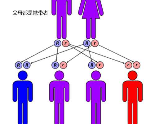 盛世古玩商_大美民间——2022中国（南京）农民画优秀作品双年展举办